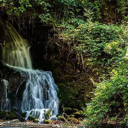 βυσωκά 아파트