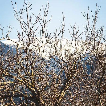 βυσωκά Kalavryta