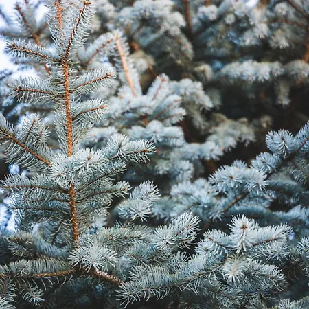 Appartement βυσωκά