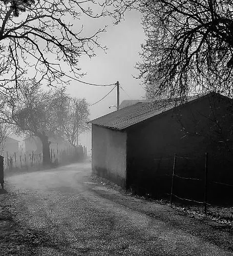 βυσωκά דירה *