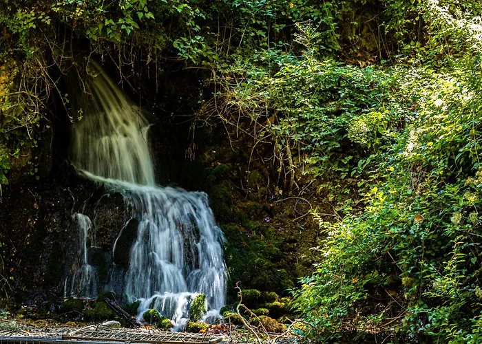 βυσωκά Appartamento