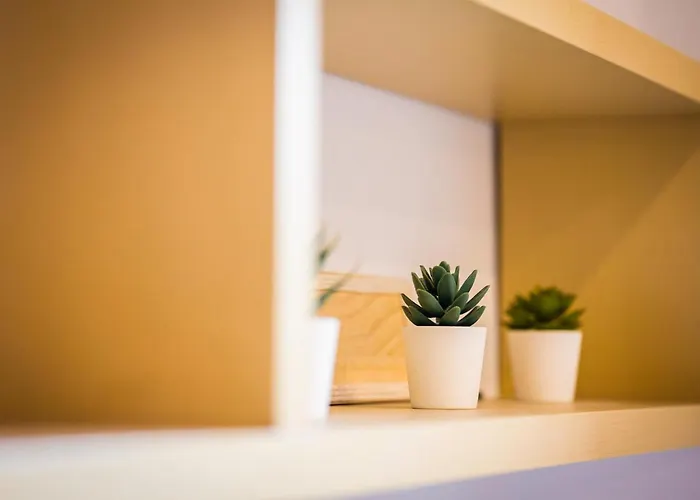 דירה βυσωκά קלבריטה