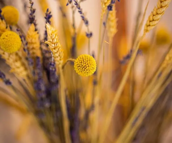 βυσωκά Appartamento Kalavryta