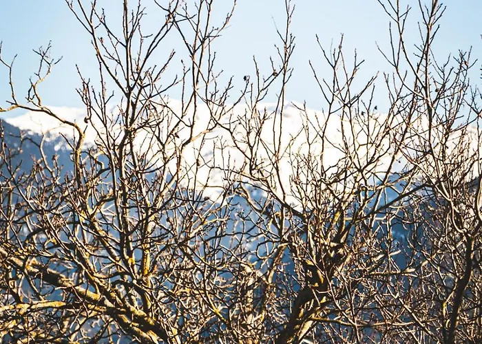 βυσωκά Kalavryta